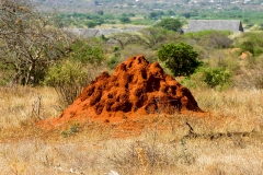 Tsavo Ost | Kenia |  Naturschutzgebiet |