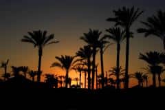 Makadi Bay | Hurghada | Ägypten | Rotes Meer |