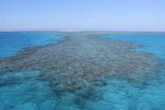 Makadi Bay | Hurghada | Ägypten | Rotes Meer |