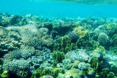 Makadi Bay | Hurghada | Ägypten | Rotes Meer |