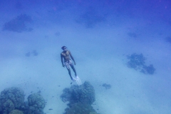 Makadi Bay | Hurghada | Ägypten | Rotes Meer |