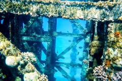 Makadi Bay | Hurghada | Ägypten | Rotes Meer |