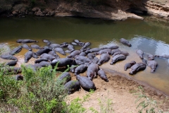 Fairmont Mara Safari Club | Masai Mara | Kenia |