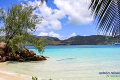 Cousin Island | Naturreservat | Seychellen