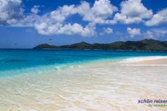 Cousin Island | Naturreservat | Seychellen
